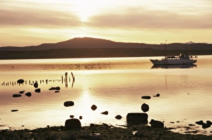 Magallanes Prints: Puerto Natales, Magallanes, Chile, South America