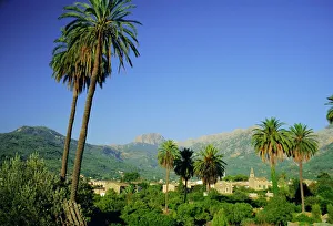 Images Dated 4th September 2008: Puerto Pollensa