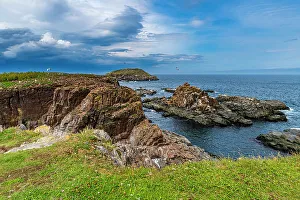 Newfoundland And Labrador Prints: Puffin bird viewing site in Elliston