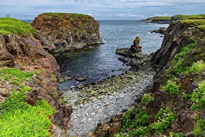 Puffin bird viewing site in Elliston, Bonavista Peninsula, Newfoundland, Canada, North America