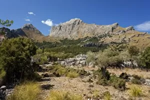 Images Dated 8th September 2009: Puig Major mountain in northern Majorca, near Soller, Majorca, Balearic Islands