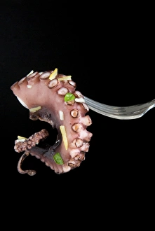 Black Background Prints: Pulpo guisado, food from the Canary Islands, Spain, Europe