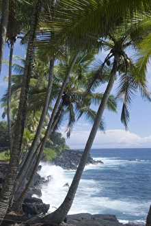 Big Island Prints: Puna (Black Sand) Beach