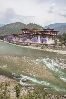 The Punakha Dzong (Pungtang Dechen Photrang Dzong) is the administrative centre of