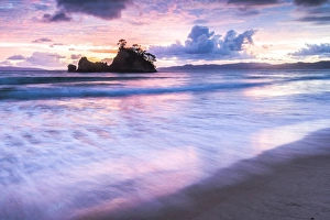 Pungapunga Island at Whangapoua Beach at sunrise, Coromandel Peninsula, North Island