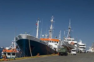 Punta Arenas Prints: Punta Arenas, Patagonia, Chile, South America