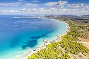 Gallipoli Prints: Punta della Suina sand beach framed by Mediterranean pine trees, aerial view, Gallipoli