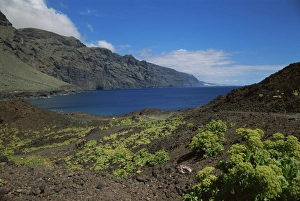 Punta de Teno, Tenerife, Canary Islands, Spain, Europe