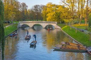 Cambridgeshire Prints: Punting on The Backs, River Cam, Cambridge, Cambridgeshire, England, United Kingdom