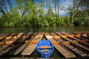 Repetition Prints: Punting, Cherwell Boathouse, Oxford, Oxfordshire, England, United Kingdom, Europe