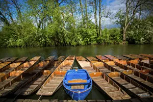 Oxfordshire Collection: Punting, Cherwell Boathouse, Oxford, Oxfordshire, England, United Kingdom, Europe