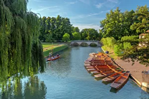 Passenger Prints: Punts on The Backs, River Cam, Cambridge, Cambridgeshire, England, United Kingdom, Europe