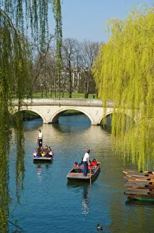Student Prints: Punts, Cambridge, Cambridgeshire, England, United Kingdom, Europe