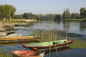Images Dated 20th September 2008: Punts in the Loire valley, France, Europe