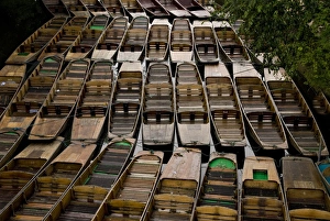 Conformity Prints: Punts, Oxford, Oxfordshire, England, United Kingdom, Europe