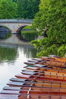 Typically English Prints: Punts on the River Cam, The Backs, Cambridge, Cambridgeshire, England, United Kingdom