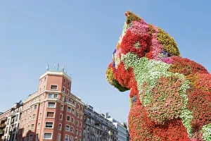 Animal Representation Prints: Puppy, the dog flower sculpture by Jeff Koons, Bilbao, Basque country, Spain, Europe