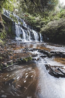 The Catlins Prints: Purakaunui Falls Walk, The Catlins, South Island, New Zealand, Pacific