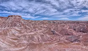 Canyons Prints: Purple hills of volcanic bentonite near Hamilili Point on the south end of Petrified Forest National Park