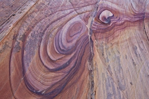 Natural Pattern Prints: Purple loops in sandstone, Coyote Buttes Wilderness, Vermilion Cliffs National Monument