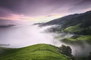 Terrace Collection: Purple sunset with fog above the Longsheng rice terraces, Guangxi, China, Asia