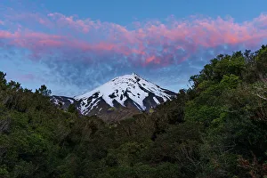 Australasia Prints: Purple sunset above the snowy summit of Mount Taranaki, North Island, New Zealand, Pacific