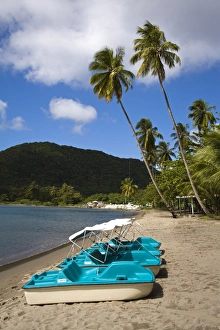 Purple Turtle Beach Club