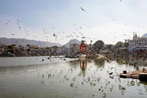 Udaipur Prints: Pushkar Lake, Pushkar, India, South Asia, Asia