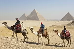 Images Dated 5th February 2009: The Pyramids, Giza, UNESCO World Heritage Site, near Cairo, Egypt, North Africa, Africa