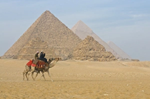 Images Dated 7th November 2009: The Pyramids of Giza, UNESCO World Heritage Site, near Cairo, Egypt, North Africa, Africa
