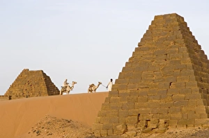 Images Dated 16th September 2005: Pyramids of Meroe, Sudan, Africa