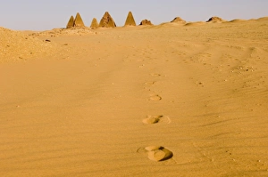 Images Dated 14th September 2005: Pyramids to the west of the temple at Jebel Barkal, UNESCO World Heritage Site