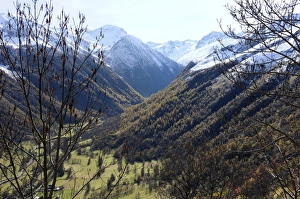 Images Dated 10th November 2008: Pyreneean valley near Bagneres de Luchon with big peaks on the French