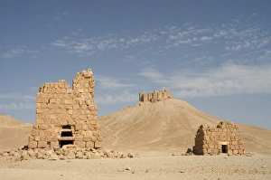 Syrian Prints: Qala at ibn Maan citadel castle