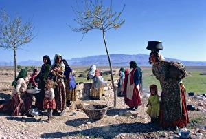 Qashqai tribe