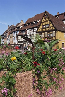 Colmar Prints: Quai de la Poissonnerie, Colmar, Alsace, France, Europe