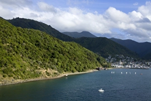 Land Form Prints: Queen Charlotte Sound, Picton, South Island, New Zealand, Pacific