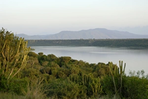 Images Dated 13th December 2007: Queen Elizabeth National Park, Kazinga Channel, Uganda, East Africa, Africa