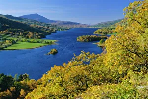 Autumn Gallery: Queens View