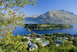 Pacific Rim Prints: Queenstown