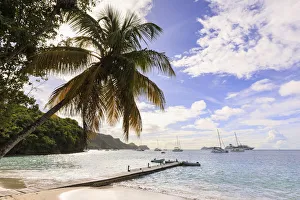 Quiet Caribbean, sea shore palm tree, boat jetty, beautiful Port Elizabeth, Admiralty Bay