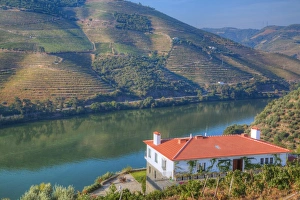 Douro River Prints: Quinta da Marka overlooking the Douro River