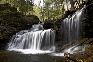 Pennsylvania Prints: R. B. Ricketts Falls, Ricketts Glenn State Park, Pennsylvania, United States of America