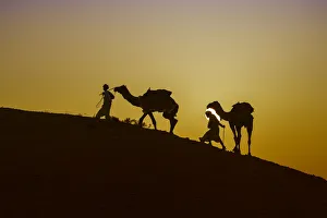 Rope Prints: Two Rabari men climbing a dune with their dromedaries at sunset, Great Rann of Kutch