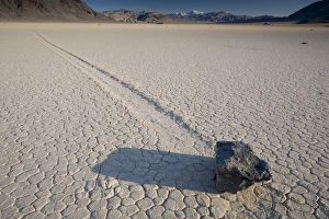 Salt Flat Prints: The Race Track, Death Valley National Park, California, United States of America