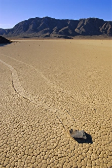 Drought Prints: The Racetrack boulders