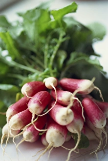 Salad Prints: Radishes
