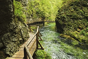 Calmness Prints: Radovna River, Vintgar Gorge, Gorje, Bled, Slovenia, Europe