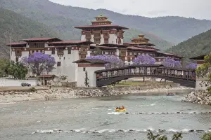 Bhutan Prints: Rafting in the River Mo Chhu flowing near the Punakha Dzong where bloom the Jacaranda trees