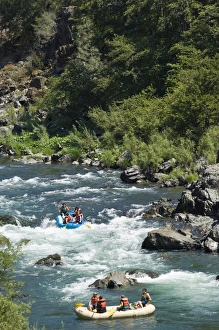 Rafts Prints: Rafting on the South Fork of the Trinity River, California, United States of America